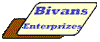 Bivans Enterprizes, Consulting in healthcare, computers, web page design